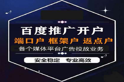 电商平台信息流广告的投放策略与效果评估案例